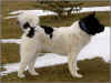 Matrix.6mo.pix2.jpg (37763 bytes)