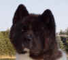 Matrix.pix4.14mo.jpg (28682 bytes)
