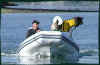Odin_boat1.jpg (28368 bytes)