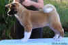 Passion12wks_image5.jpg (32345 bytes)