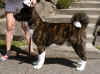 Porter.1year.pix1.jpg (31098 bytes)