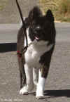 Porter.1year.pix2.jpg (35698 bytes)