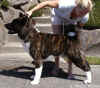Porter.1year.pix3.jpg (43656 bytes)