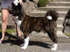 Porter.1year.pix5.jpg (58914 bytes)