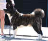 Porter.1year.pix6.jpg (43566 bytes)