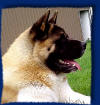 Price pictured @ 11-months old