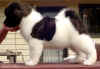 GirlE_Sideimage2.jpg (41494 bytes)