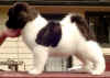 GirlE_Sideimage.jpg (43174 bytes)
