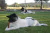 Cadet14mo.pix1.jpg (60686 bytes)